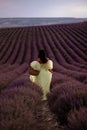 Woman lavender field. Lavender field happy woman in yellow dress in lavender field summer time. Aromatherapy concept Royalty Free Stock Photo