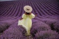 Woman lavender field. Lavender field happy woman in yellow dress in lavender field summer time. Aromatherapy concept Royalty Free Stock Photo