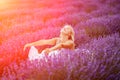 Woman lavender field. A middle-aged woman sits in a lavender field and enjoys aromatherapy. Aromatherapy concept Royalty Free Stock Photo