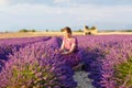 Woman in lavender fields in Provence, France Royalty Free Stock Photo