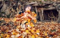 Woman laying down on the pile of leafs and playing. Royalty Free Stock Photo