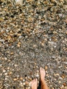 Woman legs barefoot at sea waves stones shells beach summer day. top view above women feet. Royalty Free Stock Photo