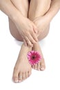 woman legs and flowers over white Royalty Free Stock Photo