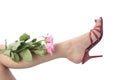 Woman legs and flowers over white background Royalty Free Stock Photo