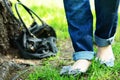 Woman legs in jeans and flats with bow in park Royalty Free Stock Photo