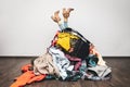 Woman legs out of a pile of clothes on the floor Royalty Free Stock Photo