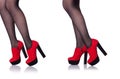 The woman legs with red shoes isolated on the white Royalty Free Stock Photo