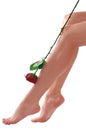 Woman legs with rose Royalty Free Stock Photo
