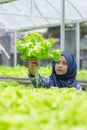 Woman with lettuce standing in hydropohonic farm