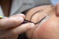 Woman lies on eyelash extension procedure in a beauty salon. Lashmaker holds tweezers with a bunch of artificial
