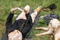 A woman lies on the grass and reads a book. A dog is resting nearby. Camping, relaxation Royalty Free Stock Photo