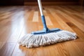 Woman interior housework domestic maid cleaner household house flooring hygiene home cleaning Royalty Free Stock Photo