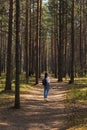 woman in a light shirt and jeans walking on a wooden path in nature Royalty Free Stock Photo