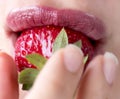 Woman lips with red strawberry on blur background. Pink lipstick. Fresh berry. Girl eating strawberry. Royalty Free Stock Photo