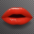 Woman lips slightly open mouth stylish fashion mockup transparent background design vector illustration