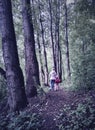 Woman and little girl in dark woods, back view. Family walk away on path in forest. Child with mother go on footpath among big Royalty Free Stock Photo