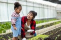 Woman and Little girl with vegetable plants farming and gardening concept. Royalty Free Stock Photo