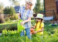 Woman with little girl watering plants in garden Royalty Free Stock Photo