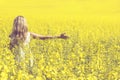 Woman with long hair back view, yellow rapeseed canola field enjoying nature and sunlight. Royalty Free Stock Photo