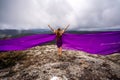 A woman with long hair is standing in a purple flowing dress with a flowing fabric. On the mountain against the Royalty Free Stock Photo