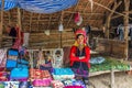 Padaung tribe woman Royalty Free Stock Photo