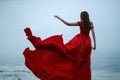 Woman in a long red dress. Back view Royalty Free Stock Photo