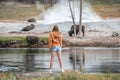 Woman looking at bison while exploring at lakeshore in Yellowstone park Royalty Free Stock Photo