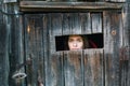 Woman looking through the crack of a locked wooden shed. Royalty Free Stock Photo