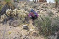 Woman Looking At A Desert Tortoise