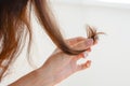 Woman looking at the tops of her hair with splitting ends Royalty Free Stock Photo