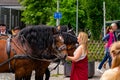 Woman looks at a team of horses during a procession in Garmisch-Partenkirchen, Garmisch-Partenkirchen, Germany - May 20. Royalty Free Stock Photo