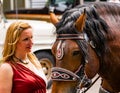 Woman looks at a team of horses during a procession in Garmisch-Partenkirchen, Garmisch-Partenkirchen, Germany - May 20. Royalty Free Stock Photo