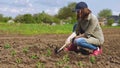 Woman loosens soil before planting seedlings