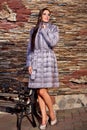 Woman in Luxury purple chinchilla Fur Coat Royalty Free Stock Photo