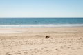 A woman lying on the sand of a beach reads a book, in the distance, in the sea, a person is kayaking. Royalty Free Stock Photo