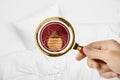 Woman with magnifying glass detecting bed bug, closeup