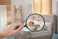 Woman with magnifying glass detecting bed bugs in bedroom Royalty Free Stock Photo