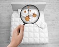Woman with magnifying glass detecting bed bugs in bedroom Royalty Free Stock Photo