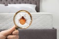 Woman with magnifying glass detecting bed bugs on mattress Royalty Free Stock Photo