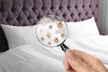 Woman with magnifying glass detecting bed bugs Royalty Free Stock Photo