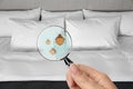 Woman with magnifying glass detecting bed bugs Royalty Free Stock Photo