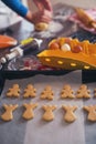 Woman make ginger bread for Christmas Royalty Free Stock Photo