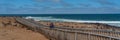 A woman make pictures from the Fur seals colony at Cape Cross at the skelett coast of Namibia, panorama Royalty Free Stock Photo