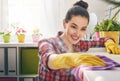 Woman makes cleaning Royalty Free Stock Photo