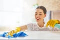 Woman makes cleaning Royalty Free Stock Photo