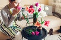 Woman makes flower arrangement of tulips in vase at home. Florist smells blooms picked up in basket. Interior and decor Royalty Free Stock Photo