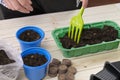 Woman makes holes in the soil with a garden tool for sowing seeds in a seedling container