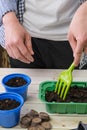 Woman makes holes in the soil with a garden tool for sowing seeds in a seedling container. Vertical image