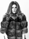 Woman makeup and hairstyle posing mink or sable fur coat. Fur fashion concept. Winter elite luxury clothes. Female brown Royalty Free Stock Photo