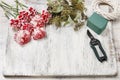 Woman making bouquet of red and white carnation flowers Royalty Free Stock Photo